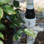 RÉGULATEURS DE PRESSION / Pressure Regulators