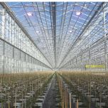 Eclairage jeunes plants et semences