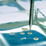 ClonePix 2 Mammalian Colony Picker