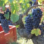 Les Gneiss Rouge 2021