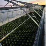 Rebâchage d’une chapelle 9,60 m Richel en DPG