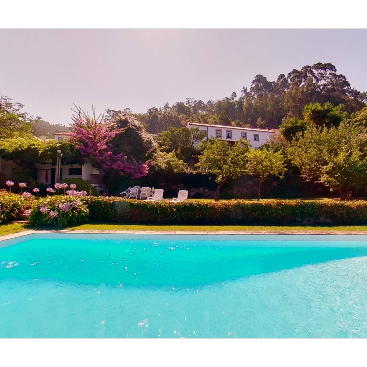 Encantadora Quintinha Moledo