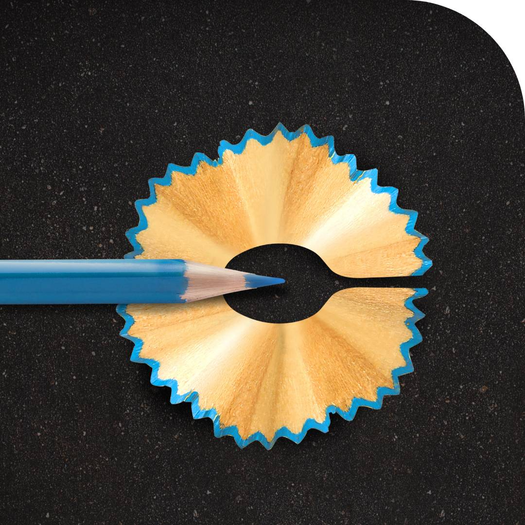 BUSINESS MANAGEMENT COURSES