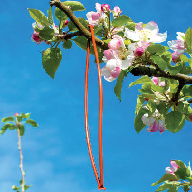 La gamme de diffuseurs la plus large du marché