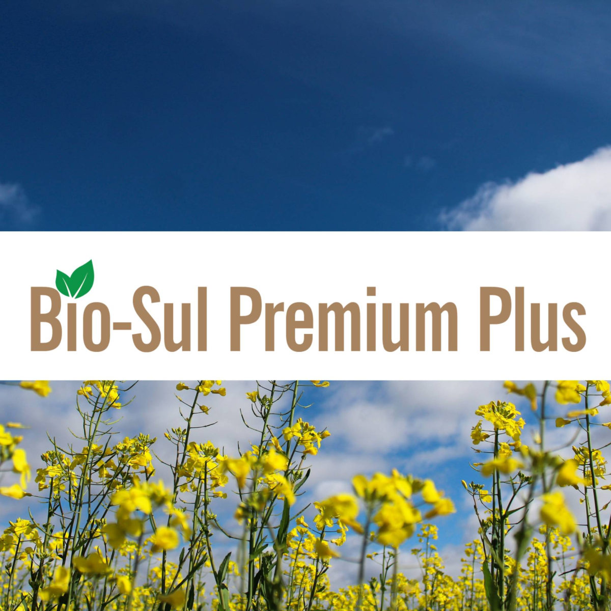 Bio-Sul Premium Plus