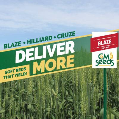 Soft Red Winter Wheat