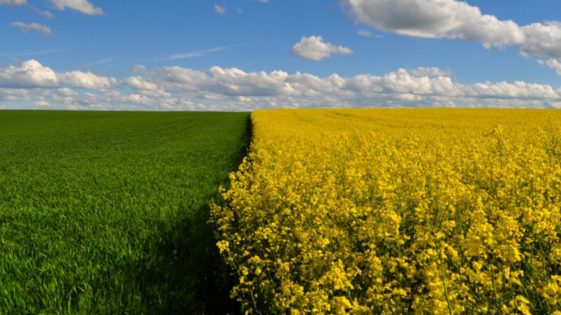 The agro-ecological transition: why is innovation becoming essential?