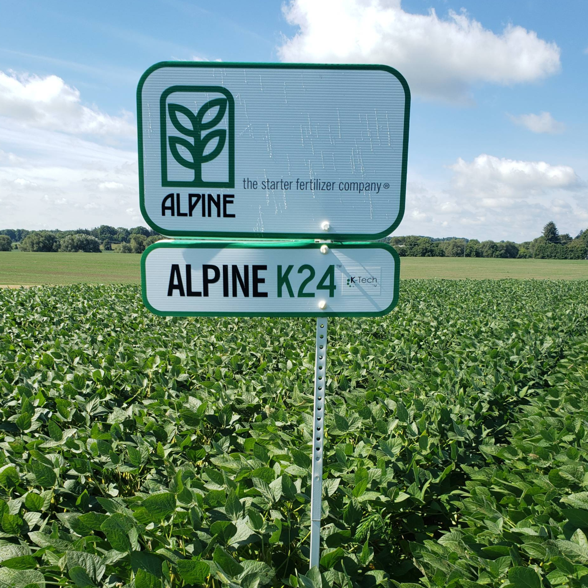 ALPINE K24®