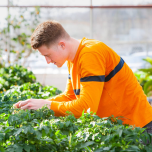 Undergraduate Programs