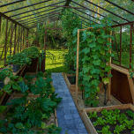 Serre à l'ancienne Classique