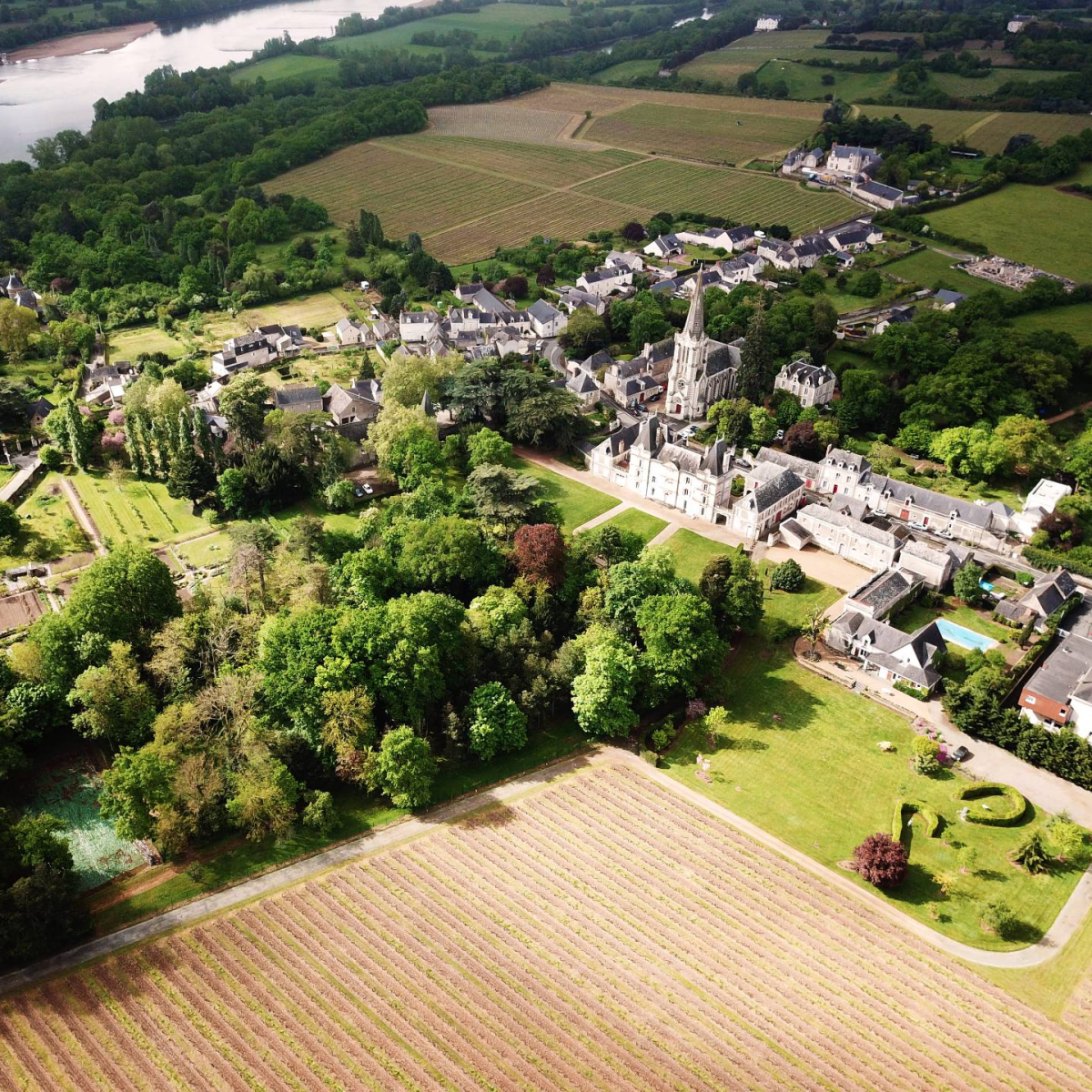 A la croisée des Chenins