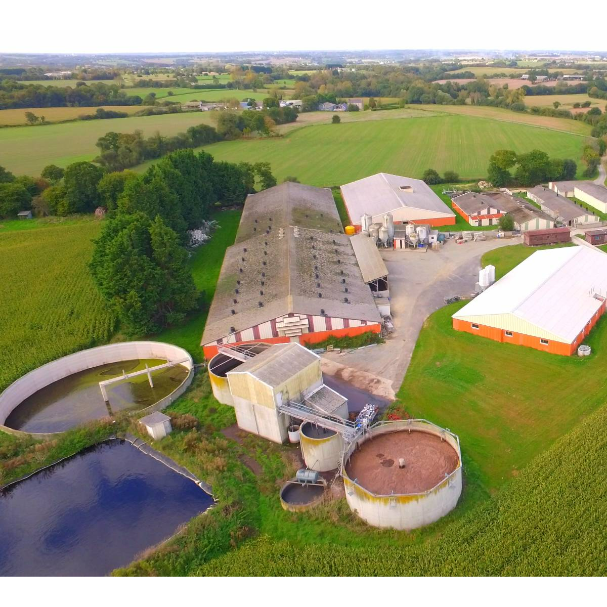 Eleveurs adhérents Cooperl