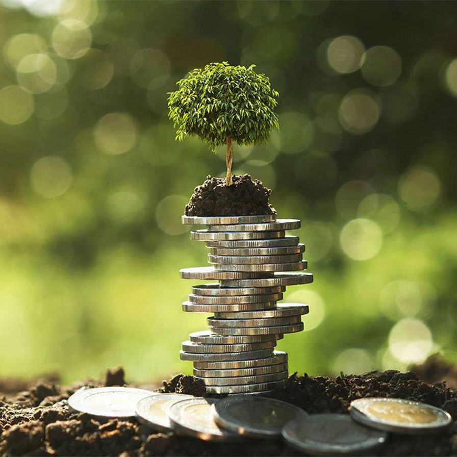 Ntiyiso Revenue Consulting