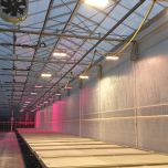 Eclairage jeunes plants et semences