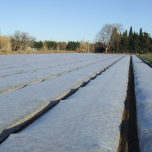 VOILE NON TISSE - P17 - CYLTHERMIC