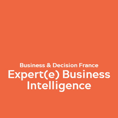 Expert(e) Business Intelligence