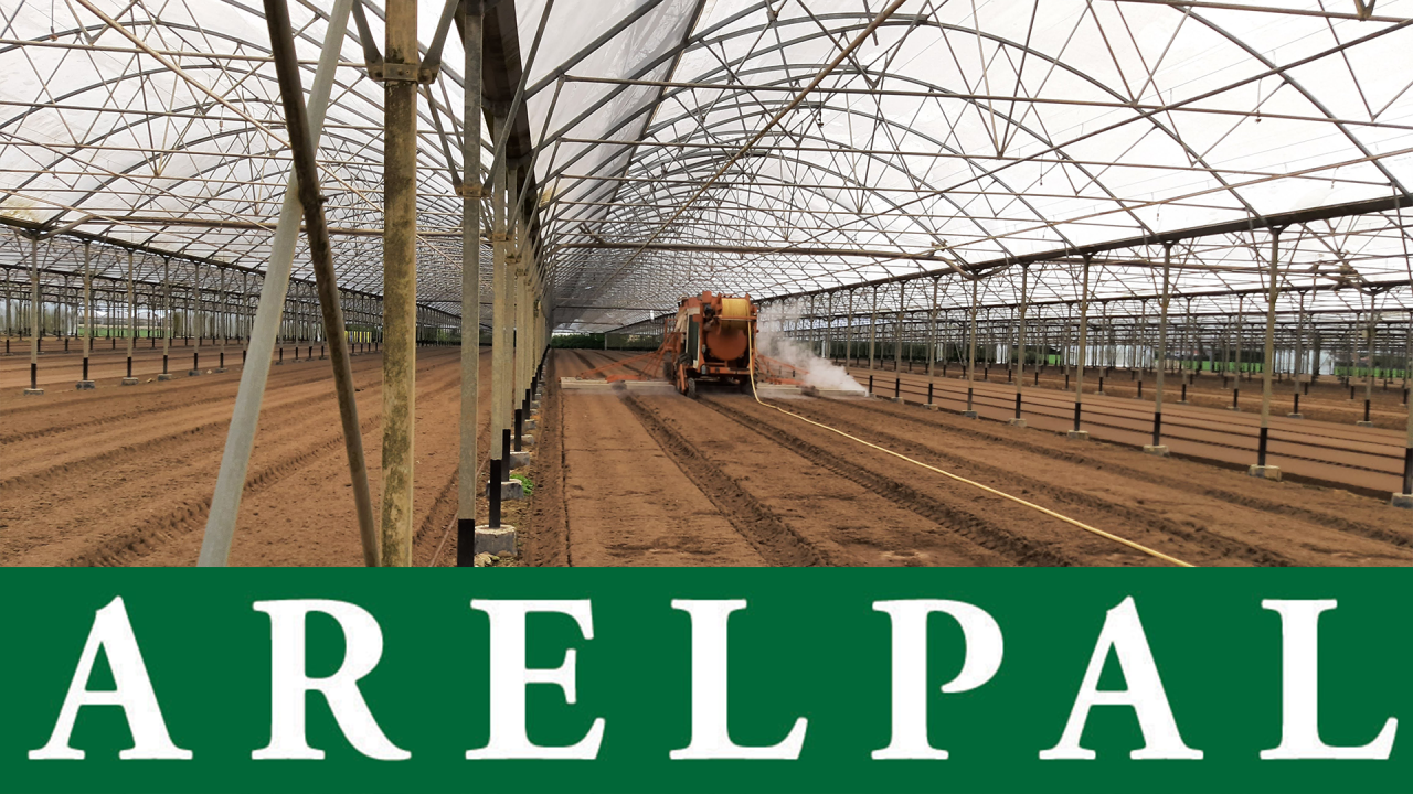 Desarm project: How can steam disinfection be made more effective and are there alternatives to steam?