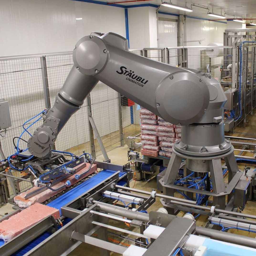 Palettisation de blocs congelés