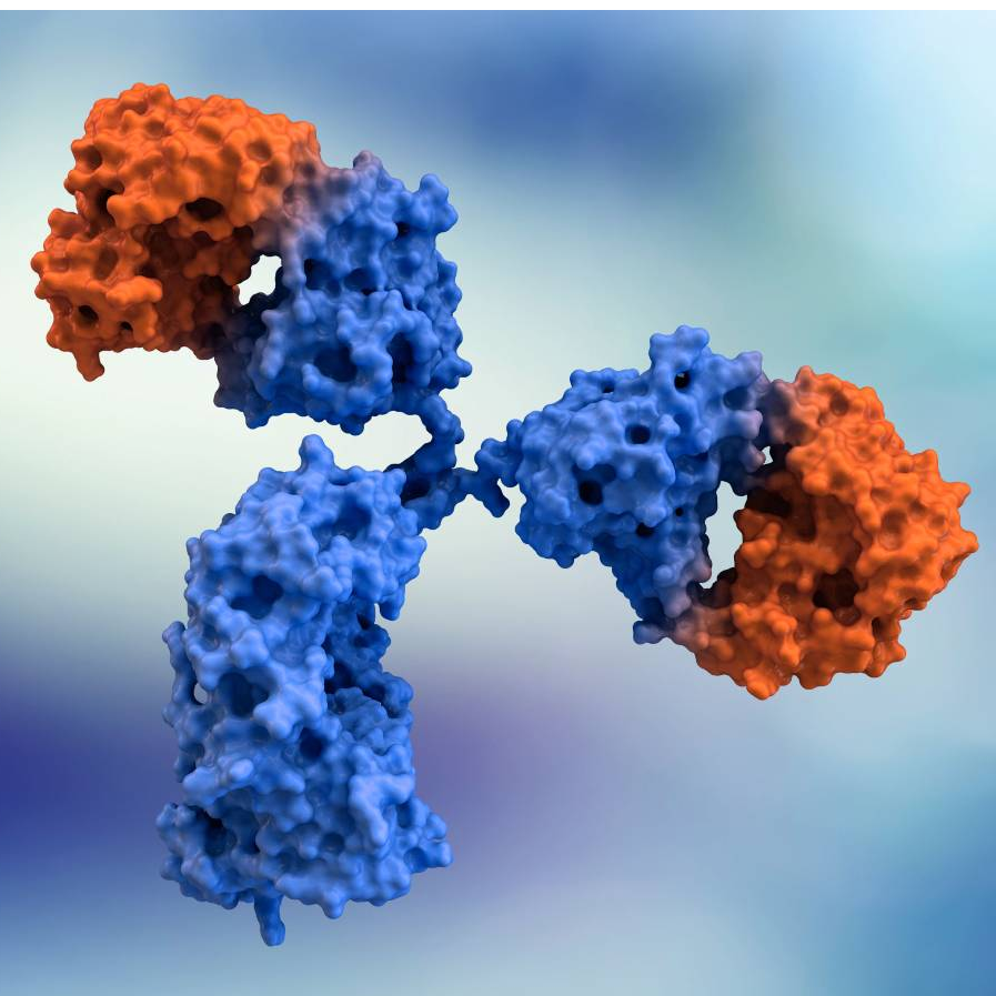 Custom Monoclonal Antibody (mAb) Production