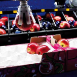 Robotique / Emballage automatique : LINE PACK - FAST PACK