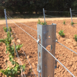 Fil à vigne Bezinal®