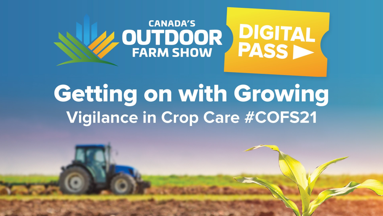 What’s New in Fungicides from Bayer