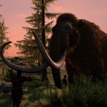 Lady Sapiens - The Experience