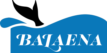 Balaena, LLC