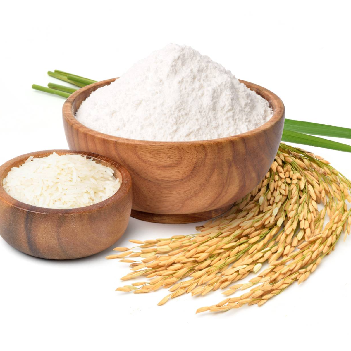 Rice Flour and Starch Products
