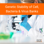 Biosafety Testing Services For Biopharmaceuticals