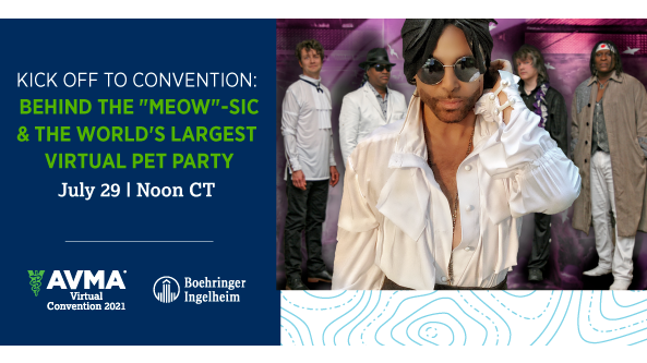 Kick off to Convention: Behind the "MEOW"-sic & the world's largest virtual pet party