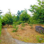 Rustic land with agricultural support house