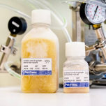 Antibody Depleted Human Complement