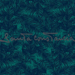 5370 Fluity-(CO2)® A.O.P