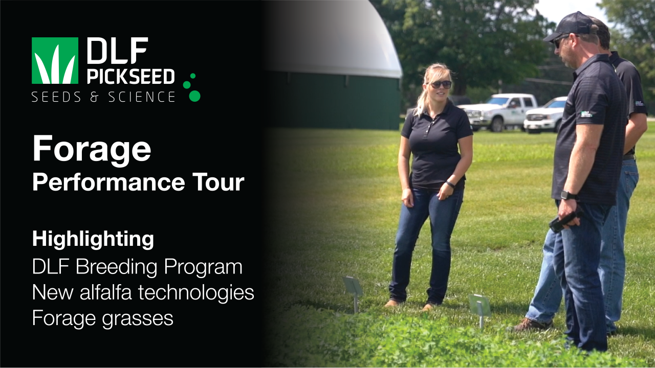 DLF Pickseed Forage Performance Tour