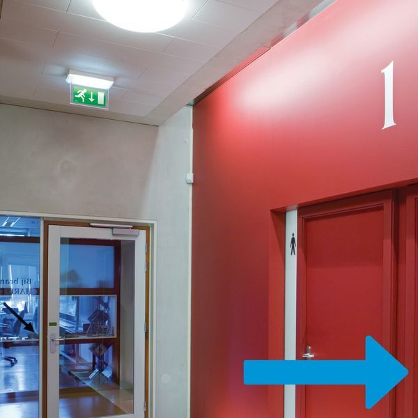 Famostar maakt de overstap naar led haalbaar & betaalbaar