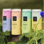 Ra.D8 - Sparkling Infusion - Collagen