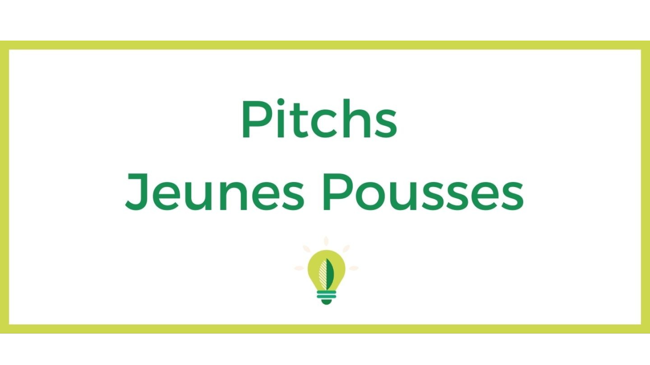 Pitchs Jeunes Pousses
