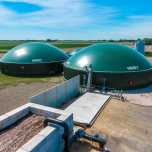 Feedstock Flexible Biogas Plants