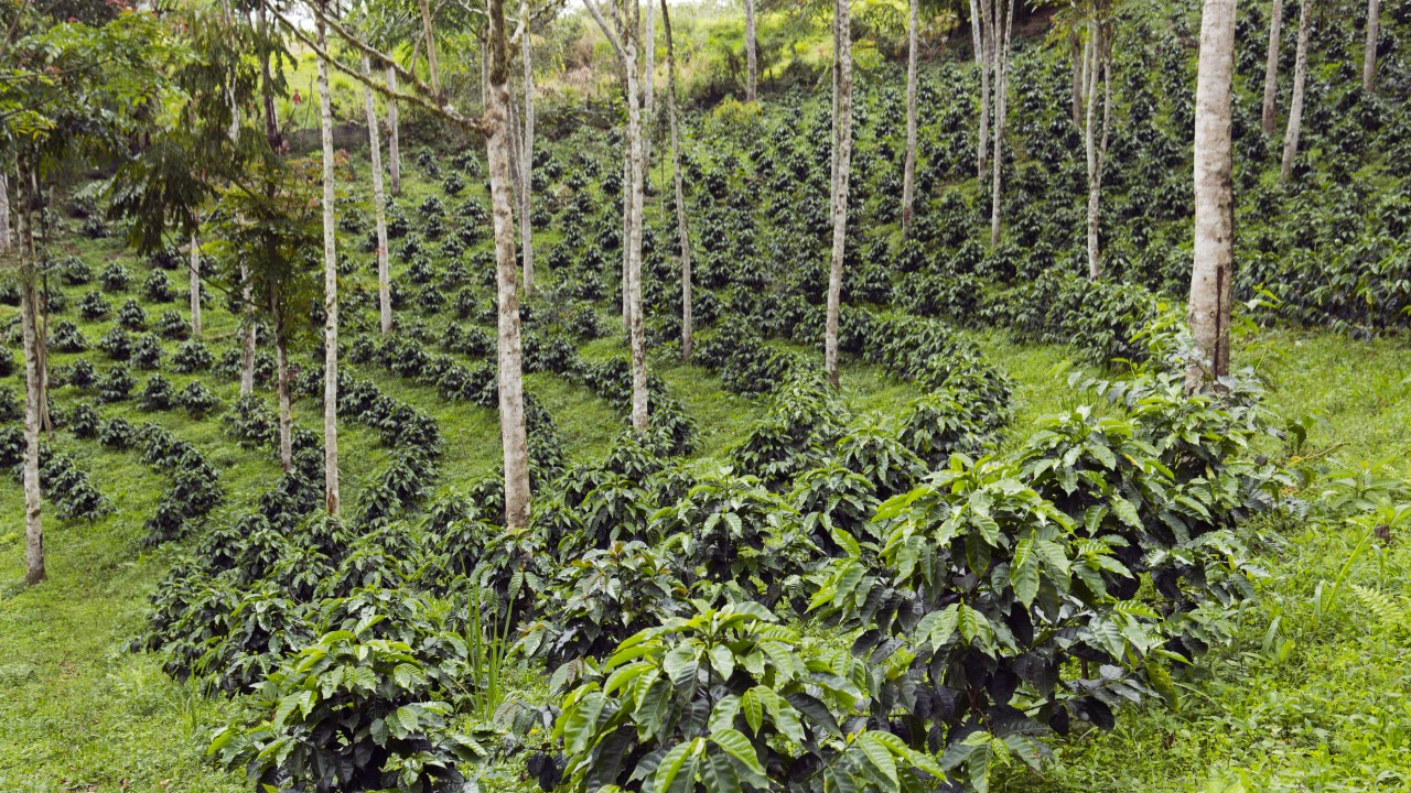 Regenerative Agriculture