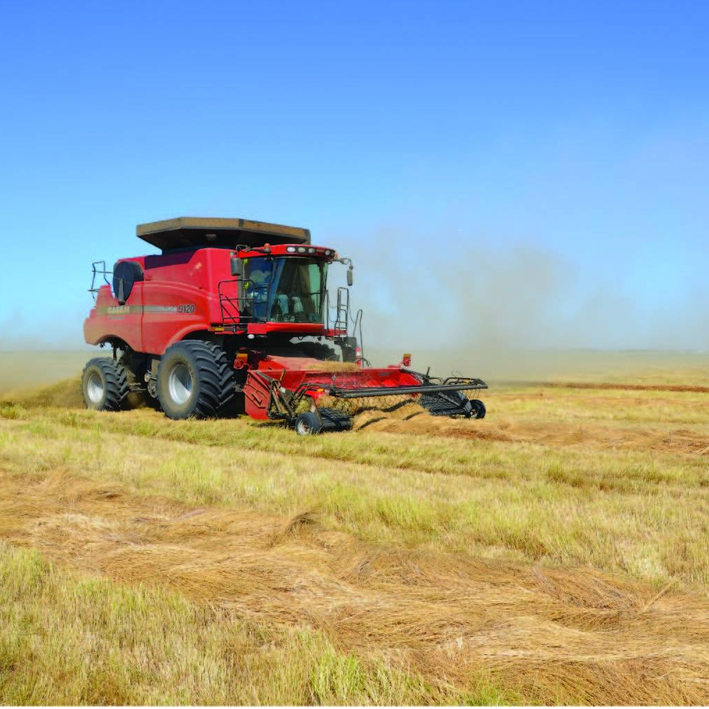 Forage & Turfgrass Seed Production