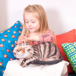 Vibrating Weighted Lap Buddy