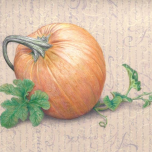 Grafix Drafting Film