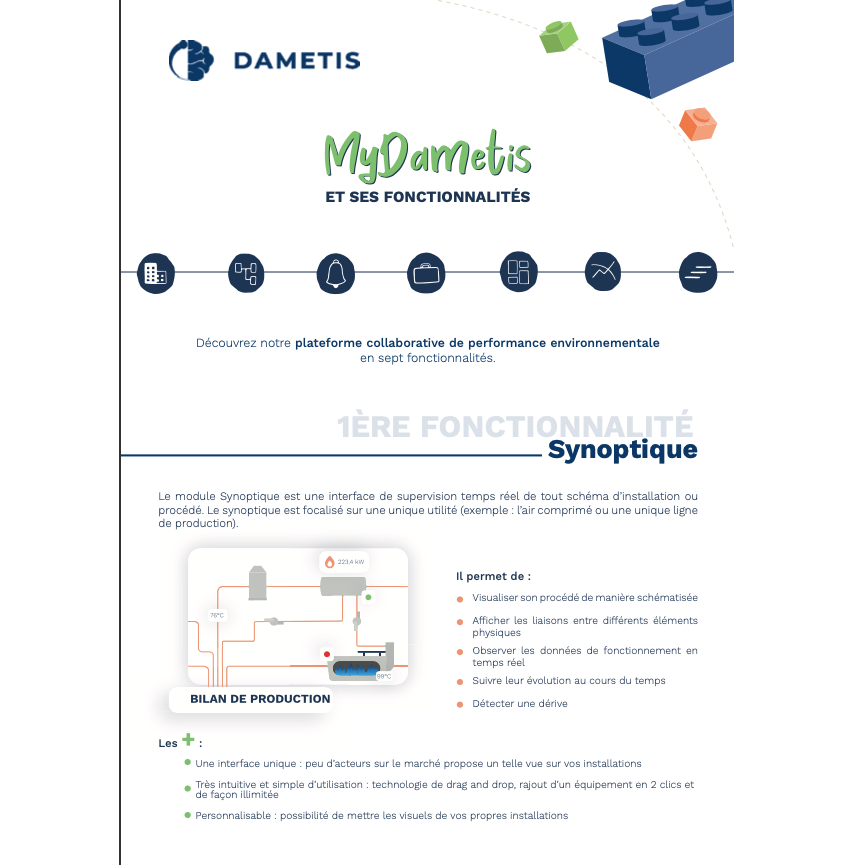 MyDametis software