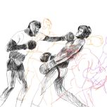 The Colour of the Boxing Ring