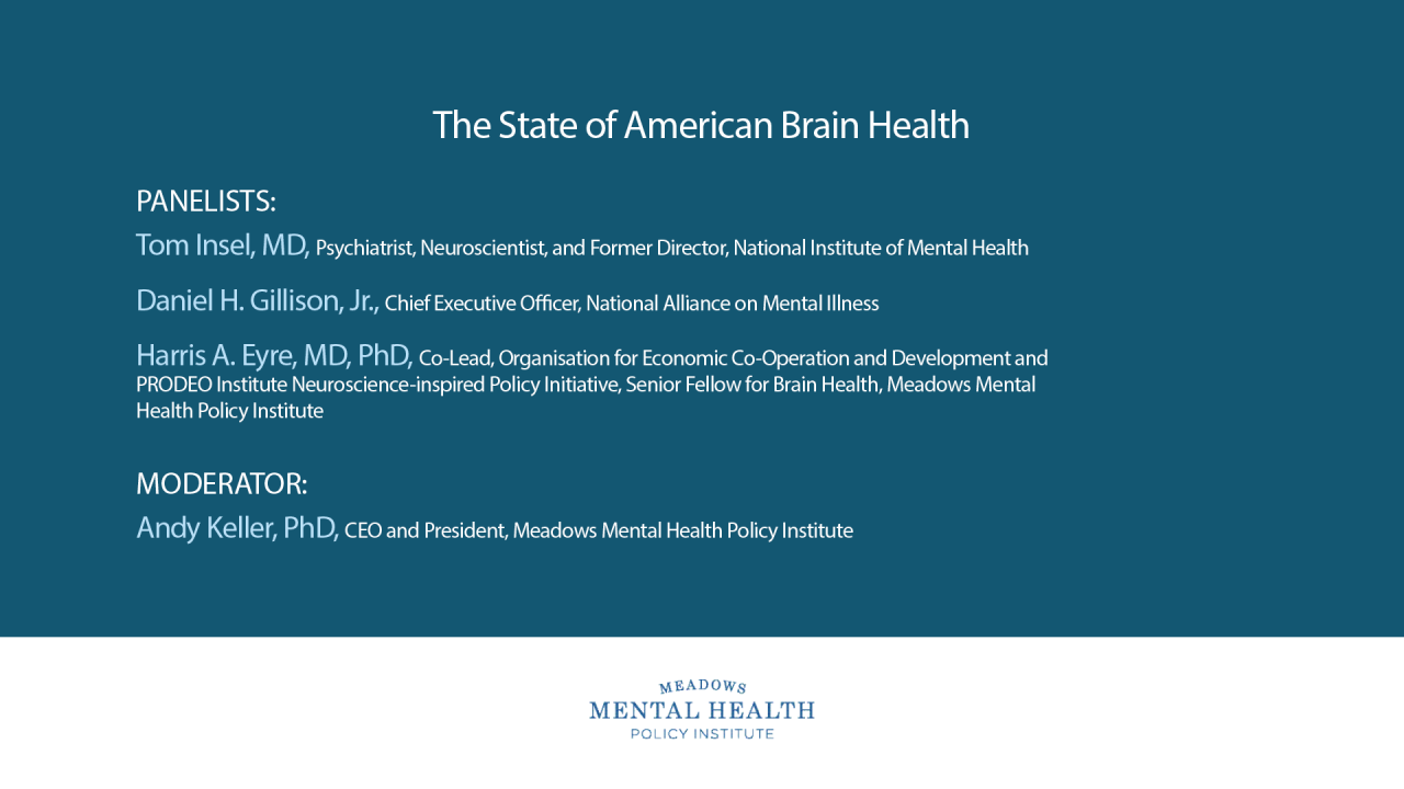 Overview: The State of American Brain Health Panel