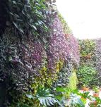 Premium System by GreenUrbanLife®