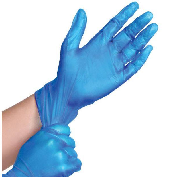 Consortium Blue Vinyl Powdered Gloves