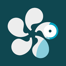 Cybersecurity and privacy