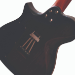 DeLaet Julie Unique Guitar